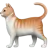 고양이