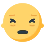 Persevering Face