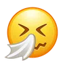 Sneezing Face