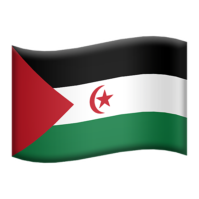 Flag: Western Sahara