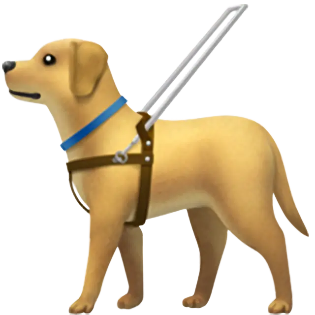 導盲犬