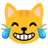 Cara de gato llorando de risa