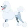 Caniche Emoji 🐩 image - Facebook Messenger (2016) style