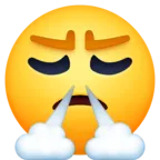 Face With Steam From Nose