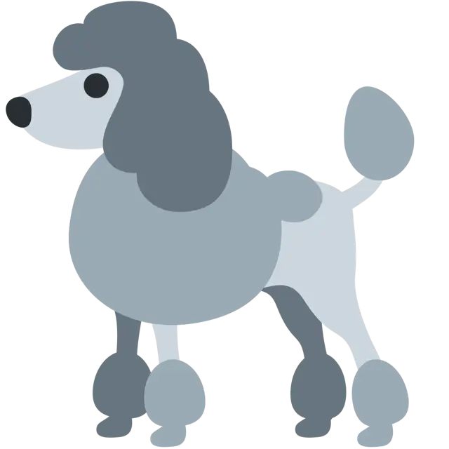 贵宾犬