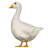 鵝