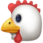 鸡