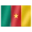 Flag: Cameroon