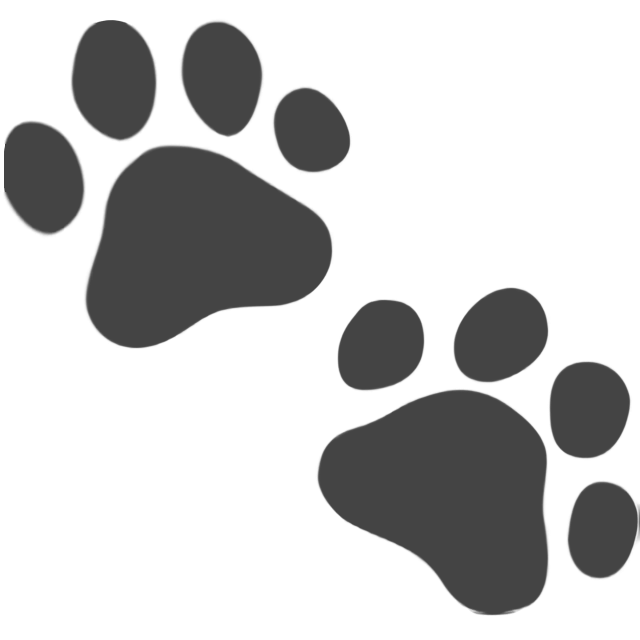 Paw Prints