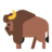bizon