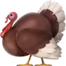 Thanksgiving Day in USA