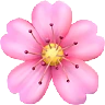 Cherry Blossom Emoji 🌸 image - Apple style