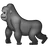 गोरिल्ला