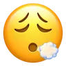 Face Exhaling Emoji 😮‍💨 image - Apple style