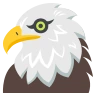 Águila Emoji 🦅 image - EmojiTwo style