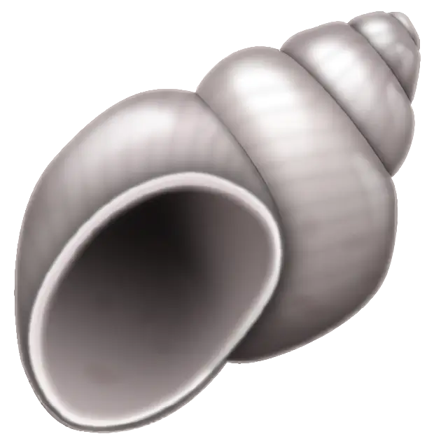 Conchiglia a spirale