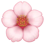 Cherry Blossom
