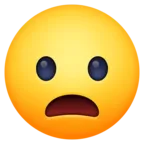 Frowning Face With Open Mouth
