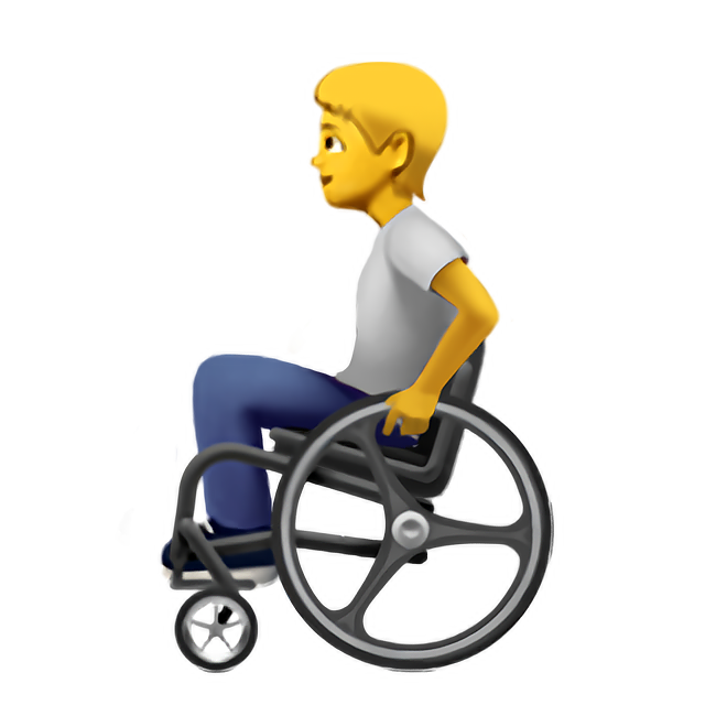 Person In Manual Wheelchair