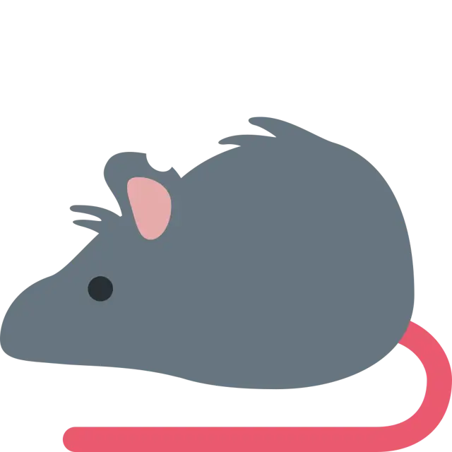 Ratte