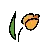 チューリップ