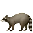 ラクーン