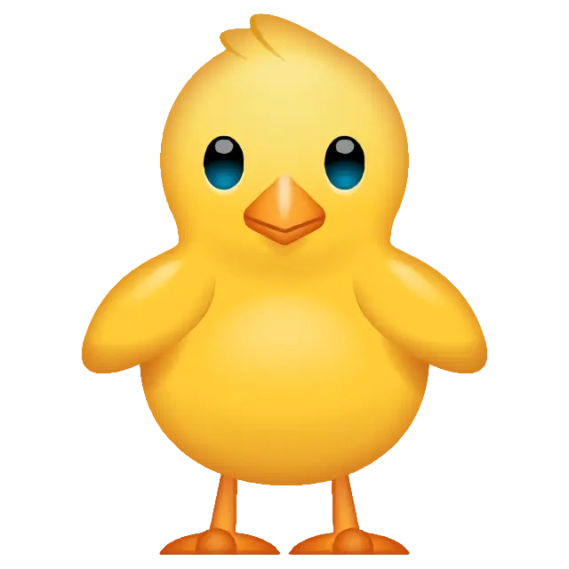 Front-Facing Baby Chick