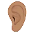 Ear: Medium Skin Tone
