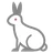 토끼