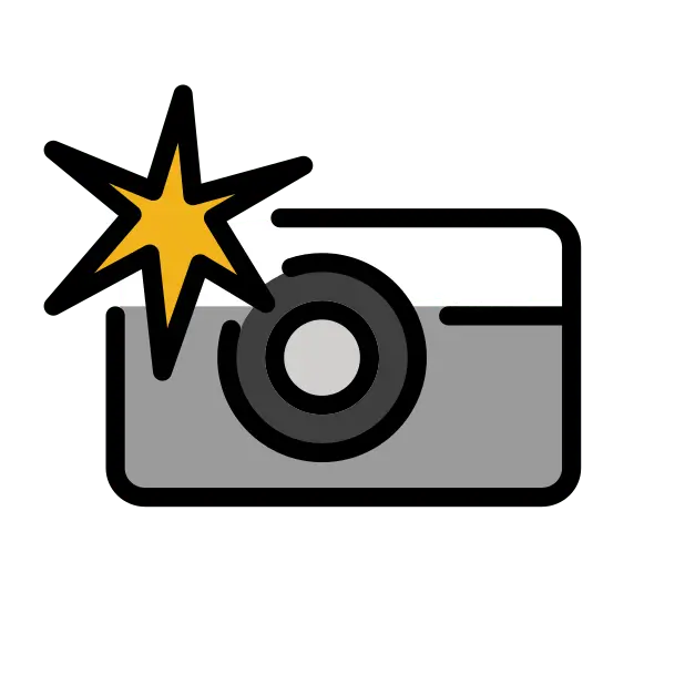 Camera With Flash