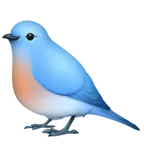 鸟