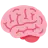 Brain
