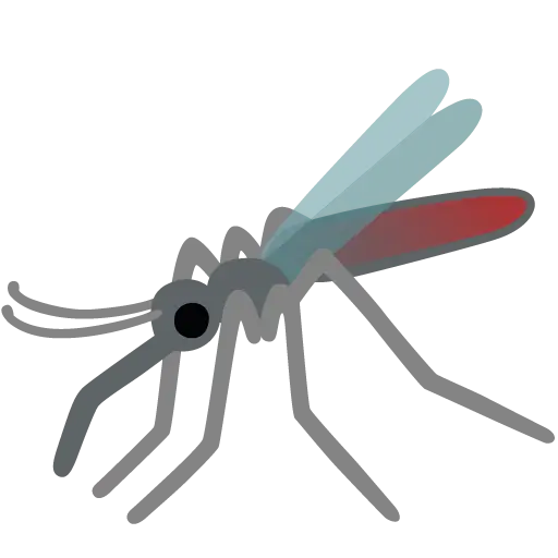 Mosquito