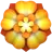 Rozetta