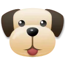 Dog Face