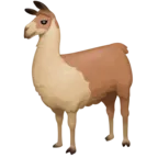 骆驼