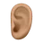 Ear: Medium Skin Tone