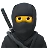 Ninja