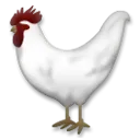Rooster