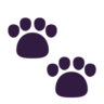 Pegadas Emoji 🐾 image - Microsoft Classic 2D style