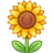 सूरजमुखी