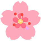 Cherry Blossom