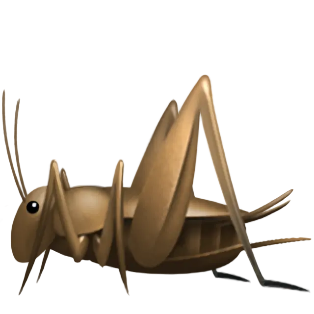 Cricket