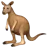 kanguru