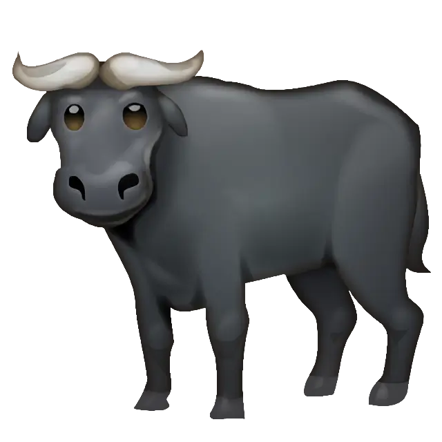 Water Buffalo