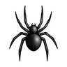 Aranha