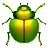 甲虫