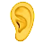 Ear
