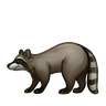 狸
