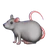 Ratto